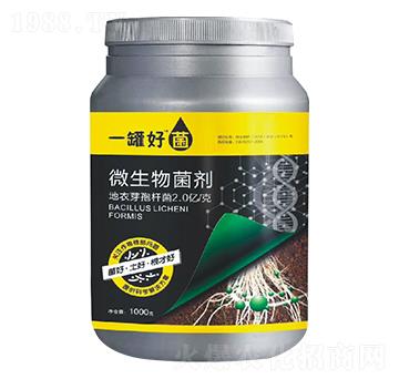 ΢�������-һ�޺þ�-�v�S�r(n��ng)�I(y��)