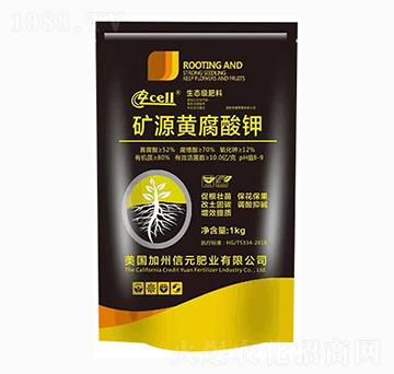 �VԴ�S�����-̩��ʘI(y��)