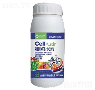 含氨基酸水溶肥-細(xì)胞生長(zhǎng)素-金億豐