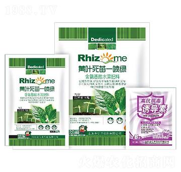 含氨基酸水溶肥-黃葉死苗一噴綠+高抗病毒誘導(dǎo)素-金億豐