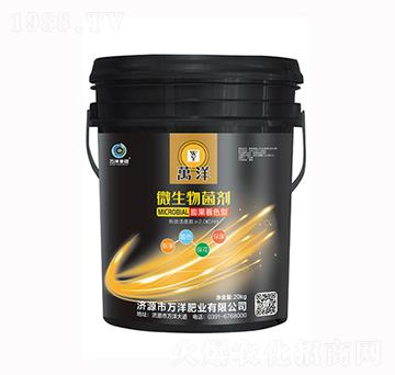 �����ɫ��΢�������-�f(w��n)��ʘI(y��)