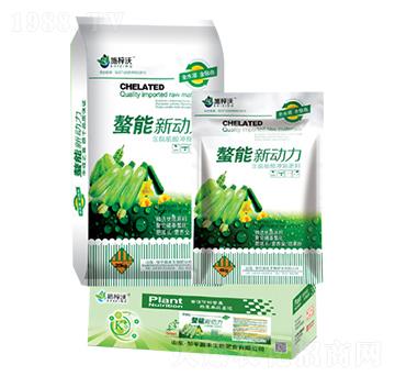 ������(d��ng)��-��S����