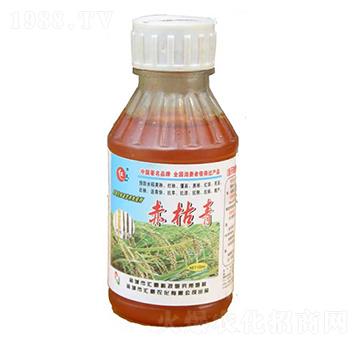 ����ࣨ�䣩-�R���r��