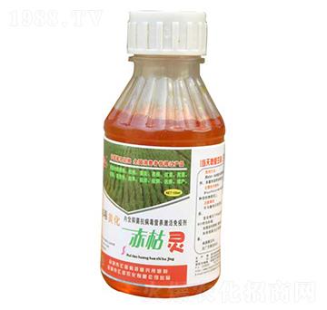 ����`-�R���r��