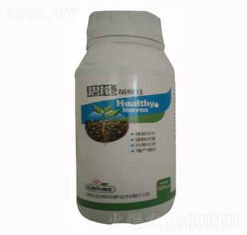 碧能苗根壯-金博銳