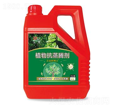 ֲ�￹���v��-���h