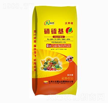 ���������-�󻯷ʘI(y��)