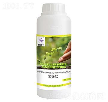 ��΢��-�����-�������