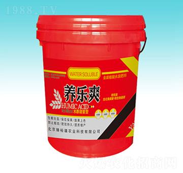 �B(y��ng)��ˬ-��ԣ��