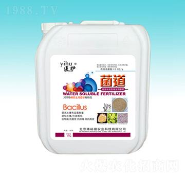 ����-��ԣ��