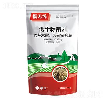 ΢�������-���o��-���S�r�I(y��)