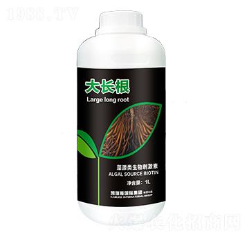 ��Դ�����̼���-���L(zh��ng)��-�P��˹