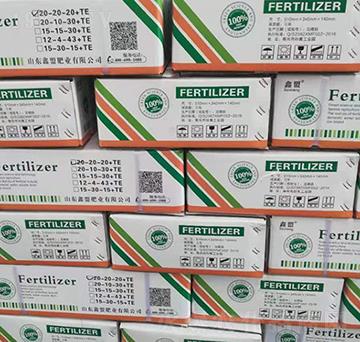 �_ʩ��-�����o(j��)�ʘI(y��)