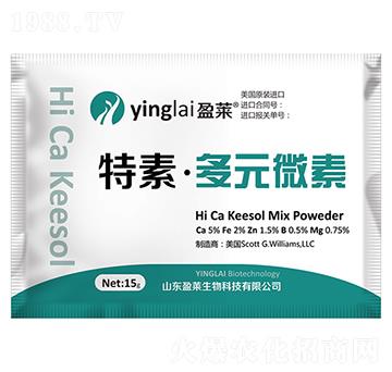 ���ء���Ԫ΢��-ӯ�R����