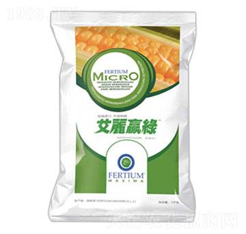 ����(j��)�N��-�����A�G-������