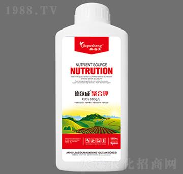 � ����ۺ��-������-��˼�D