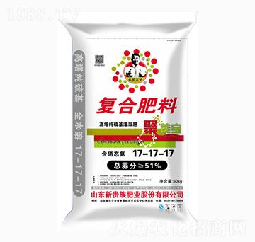 �����������ȏͺϷ�-17-17-17-���܌�-���F��