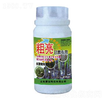 �������ጣ(zhu��n)��-�и�����