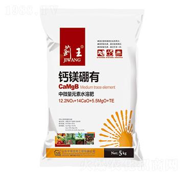 �}�V����-�E��-�и�����