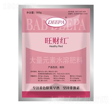 500g�~���-��ؔ�t-����ؐ