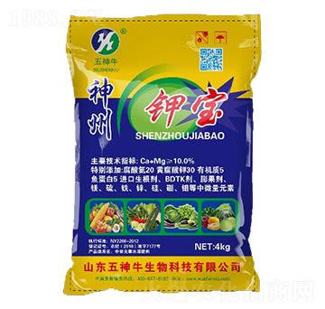 ����⛌�-����ţ