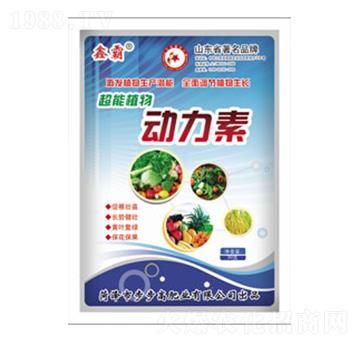 ֲ���(d��ng)����-�ΰ�-�����߷ʘI(y��)