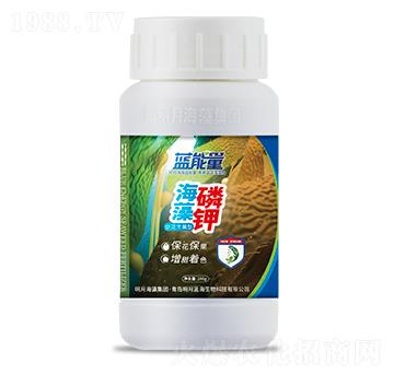 促花豐果型海藻磷鉀-藍能量