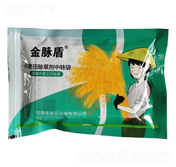 С�����݄����b-���}��-�S�՘�