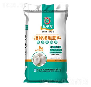 ��ጓ������19-10-21-�����t