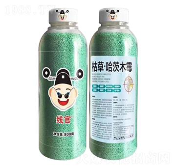 �ݲݡ�����ľù-����-����r(n��ng)��