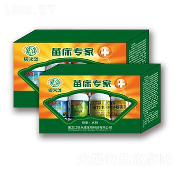 �紲����-�y�מ�����