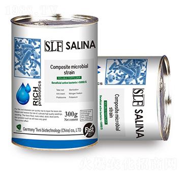 SLF�����؏ͺ�΢����ԭ���N-�y�מ�����