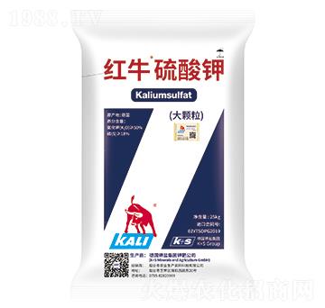 �tţ�����-���·���