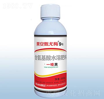 粟安甄尤梅9號-粟安