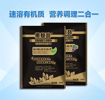 含腐植酸水溶肥料-黑黝勁-農巧施