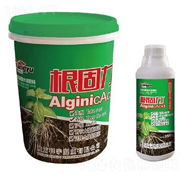 ��(f��)��΢�������-������-����ʘI(y��)