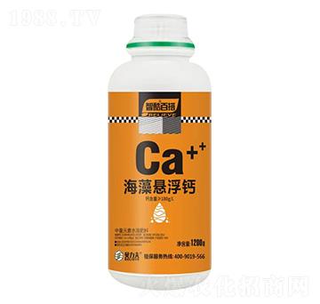 ����Ҹ��}-ؐ����-��?t��ng)��S