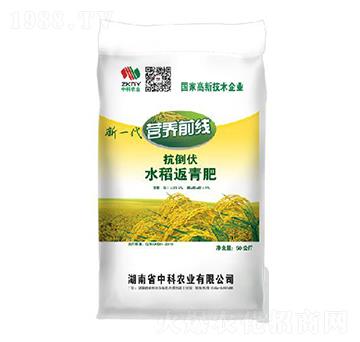 抗倒伏水稻返青肥-中科農(nóng)業(yè)