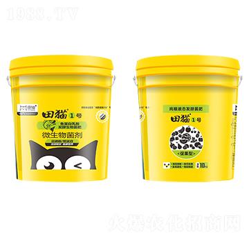 �ٹ��ͼ��ZҺ�B(t��i)�l(f��)�;���-��؈1̖