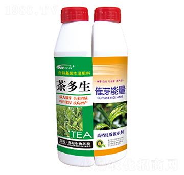 茶多豐+催芽能量-康普生