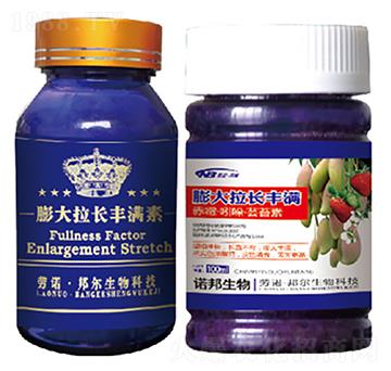 ������L(zh��ng)�S�M��-������