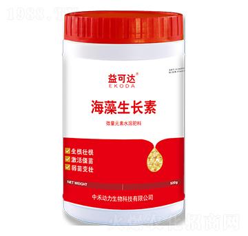 �������L��-����_(d��)-�к̄���