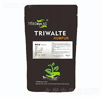 微顆粒泡葉藻-圖巴迪