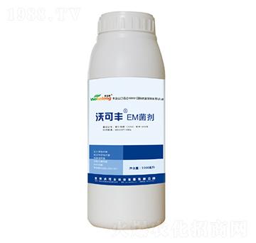 EM����-�ֿ��S