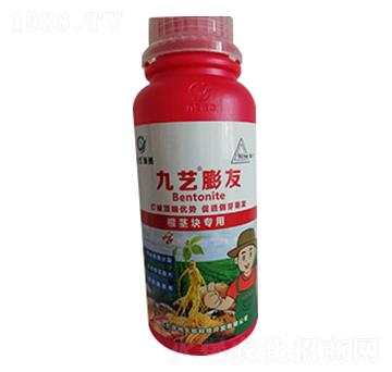 九藝膨友地下專用-九藝綠洲