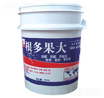 根多果大-康普生