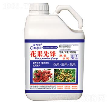 花果先鋒（壺）-康普生