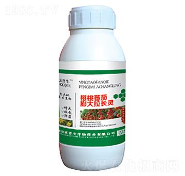 ���ҷ���������L�`-������