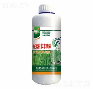 �㽶���L�S�M��-�ֿ��S