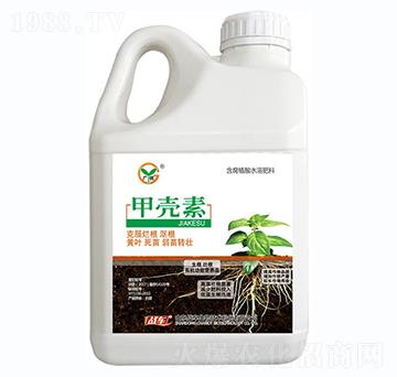 �ך���-��(zh��n)܇